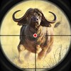 Animals Hunting icon