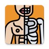 Anatomania - Quiz de Anatomia icon