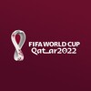 world cup qatar 2022 icon