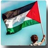 Palestine Flag Wallpapers 2024 icon