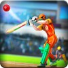 Pakistan Cricket Super League icon