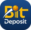 BitDeposit icon