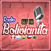 LA BOLIVIANITA 88.7 FM icon