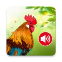 Animal Ringtones & wallpapers for Android - Download the APK from Uptodown
