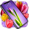 Tulip Spring 4K Wallpapers icon
