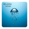 Relaxing Nature Music icon