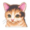 Cat Care icon