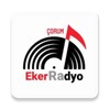 Eker Radyo icon