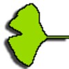 Ginkgo Audio Book Player icon