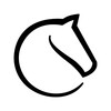 Pictogramă lichess