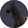 Horse Riding Game icon