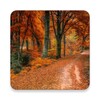 Autumn Wallpaper icon