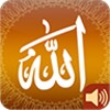 Asmaul Husna mp3 +Allah Names icon