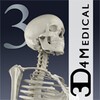 Essential Skeleton 3 icon