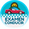 Examen Conducir Argentina icon
