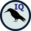 Pictogramă Raven IQ Test