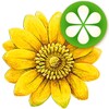 Bachblüten icon