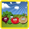 Vegetable Book icon