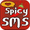 Hindi Love Shayari and SMS icon