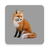 Decoy on fur animals icon