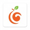 GroceryCouponNetwork icon