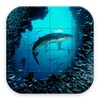 Kehidupan Laut - Puzzle icon