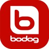 Bodog lv: casino game icon