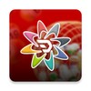 Daman Games App icon