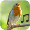 Bird Calls and Sounds icon