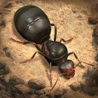 The Ants for Android - Download the APK from Uptodown