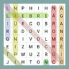 4. Wordsearch icon