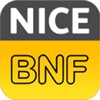 NICEBNF 아이콘