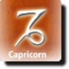 Capricorn Love Compatibility icon