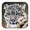 Les Animaux Sauvages - Puzzle icon