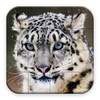 Os animais selvagens - Puzzle icon