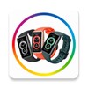 HuawBand - WatchFace icon