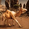 Ultimate Camel Simulator icon