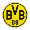 Biểu tượng BVB