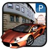 Car 3D Parking icon