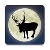 ReindeerCam LIVE! icon