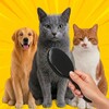 Icona di Cat brush challenge