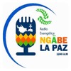 Ngabe La Paz icon