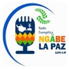 Икона Ngabe La Paz