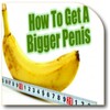 Natural Penis Enlargement icon