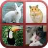 Cuestionario de Animales icon