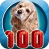 Icon von 100 Animals Megamix (Free)