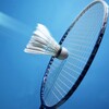 Badminton Trickshot Training icon