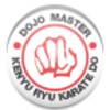 Dojo Master Karate icon