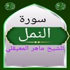 Icona di سورة النمل المعيقلي 