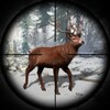Wild Deer Hunting Games icon